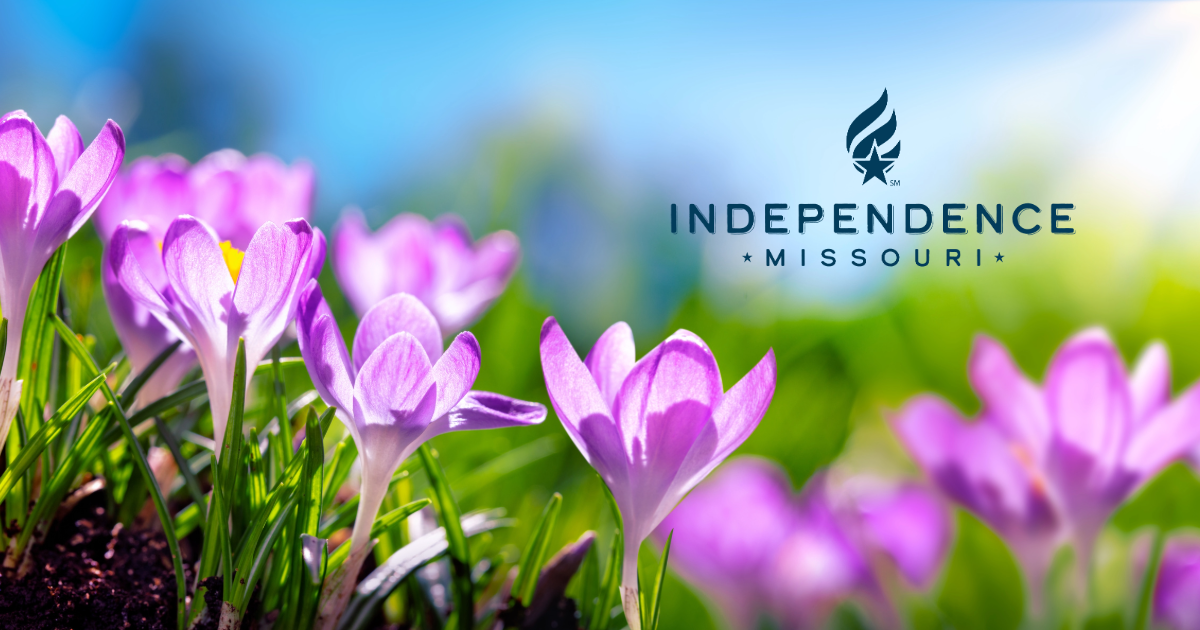 Image of crocus flowers with the City of Independence logo