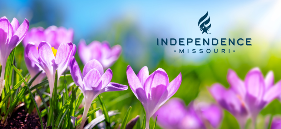 Image of crocus flowers with the City of Independence logo