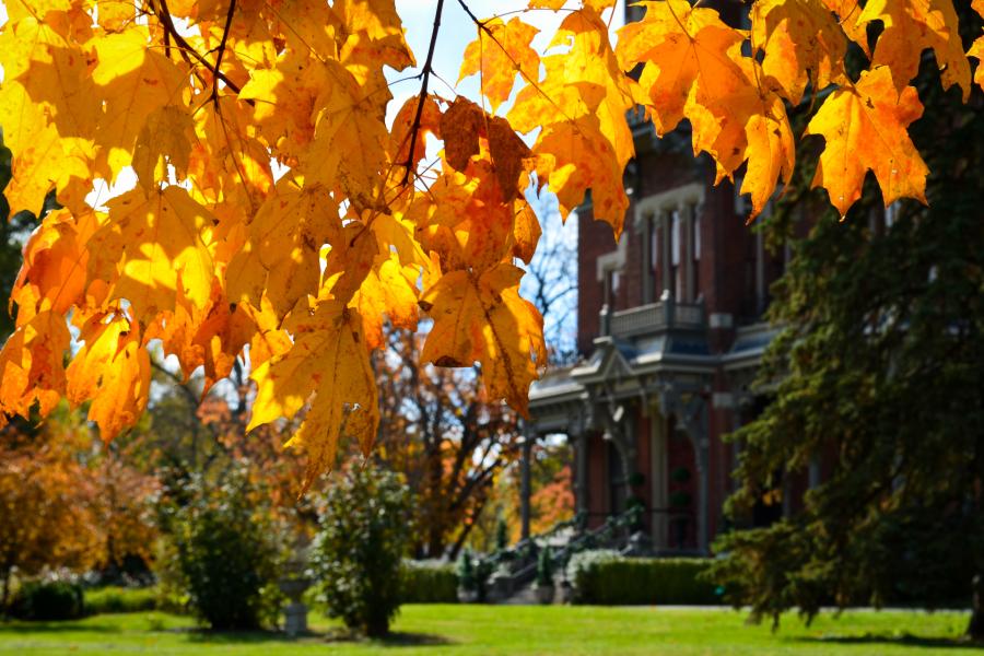 Image of fall leaves outside of the Vaile Mansion in Independence, Mo