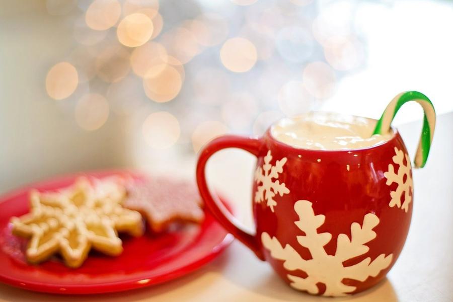 Image of a mug of cocoa and a plate with cookies.