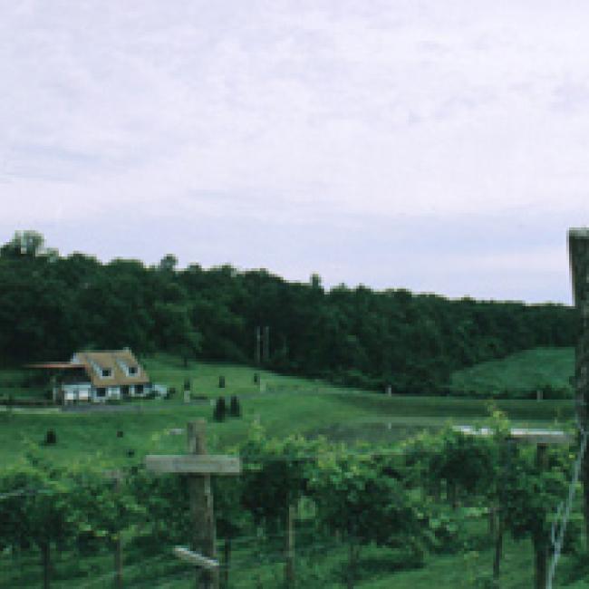 Exterior image of Albonee Country Inn and Vineyards with vineyard in foreground and house in background